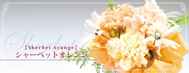シャーベットオレンジ【Sherbet orange】