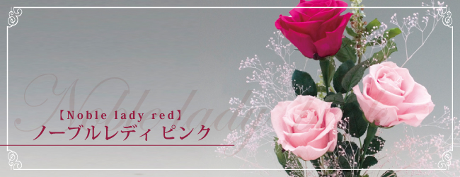 ノーブルレディ ピンク【noble lady pink】