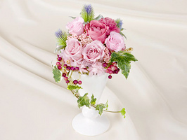 アンジェリークピンクカラー(ホワイト)【Angélique】